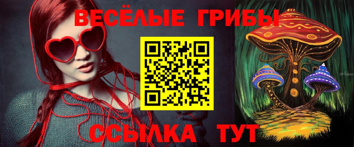 Янаул  Псилоцибиновые грибы Psilocybe  купить закладку  Вход с VPN 