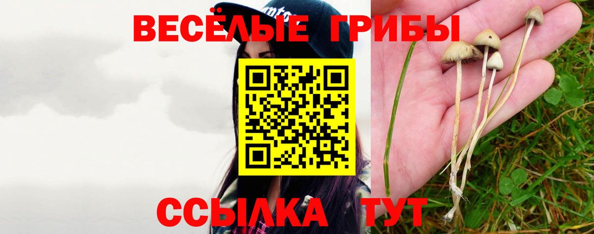 Псилоцибиновые грибы Cubensis Янаул