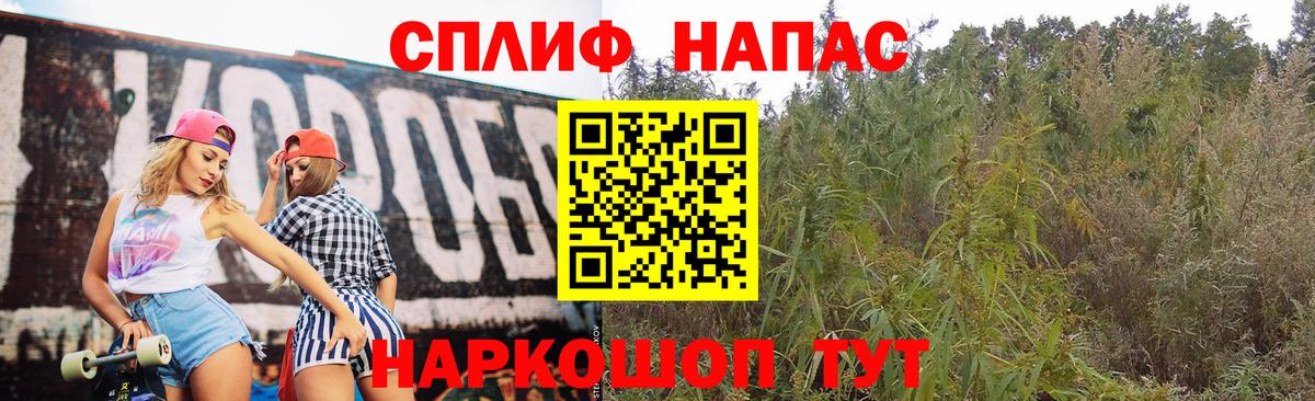 Бошки Шишки ГИДРОПОН Янаул